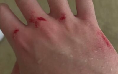 Team Falcons Bring in Surprise Satanic Stand-in for Dota 2 BLAST Slam IV