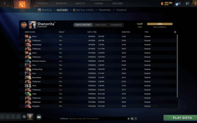 Aurora Snatch Vici Gaming Star Offlaner Ws to Complete Dota 2 Roster